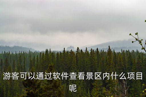 游客可以通過軟件查看景區內什么項目呢