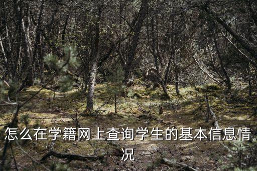 怎么在學籍網上查詢學生的基本信息情況