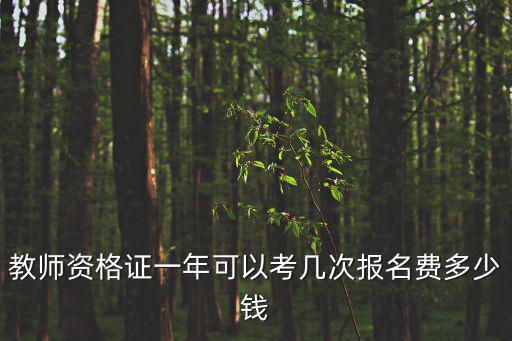 教師資格證一年可以考幾次報(bào)名費(fèi)多少錢
