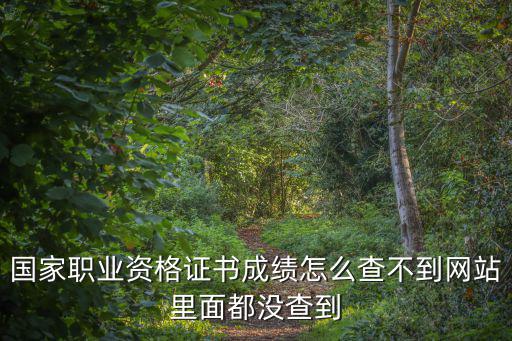 職業(yè)資格證書查詢平臺，如何查詢高級工人職業(yè)技能證書