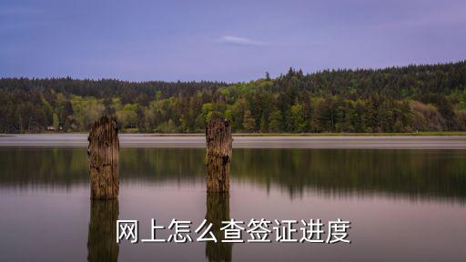 簽證進度查詢，網上怎么查簽證進度