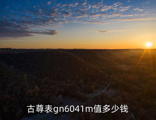 古尊表gn6041m值多少錢