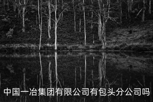 中國(guó)一冶集團(tuán)有限公司有包頭分公司嗎