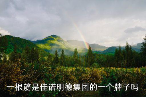 一根筋是佳諾明德集團的一個牌子嗎