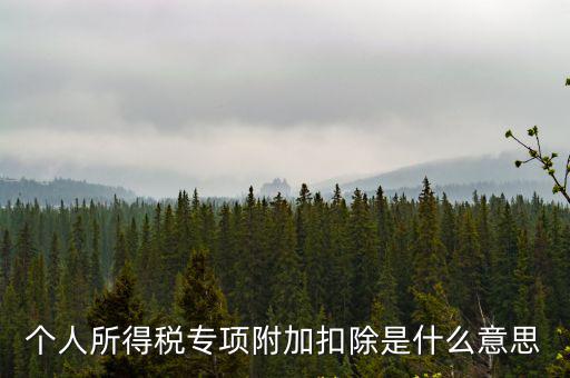 個人所得稅專項附加扣除是什么意思