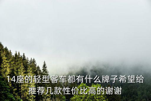 14座的輕型客車(chē)都有什么牌子希望給推薦幾款性?xún)r(jià)比高的謝謝