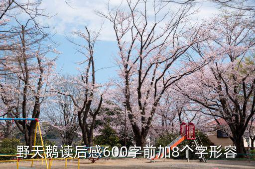 野天鵝讀后感600字前加8個字形容