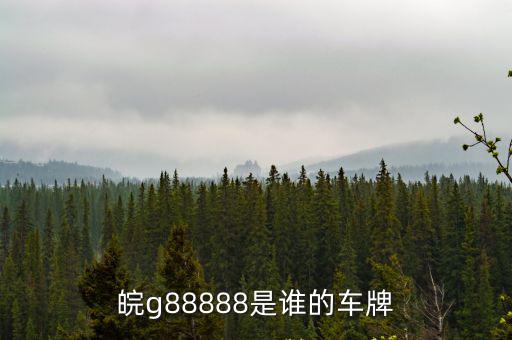 皖g88888是誰的車牌