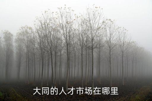 大同人才，大同市人才市場迎賓東路云岡賓館斜對面