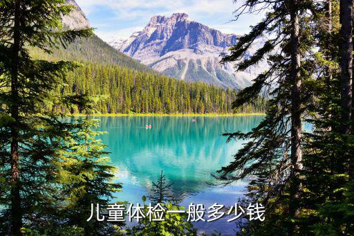 兒童入園體檢多少錢，小孩入園體檢檢查什么大概多少錢
