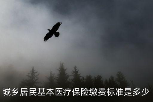 城鄉居民基本醫療保險繳費標準是多少