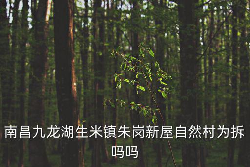 南昌九龍湖生米鎮朱崗新屋自然村為拆嗎嗎