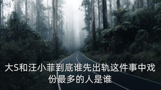 大S和汪小菲到底誰先出軌這件事中戲份最多的人是誰