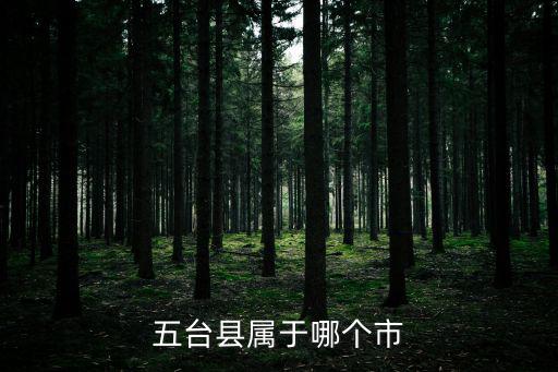 五臺縣屬于哪個市