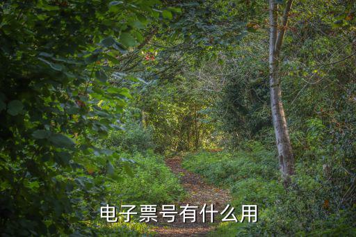 電子客票號，電子票號有什么用