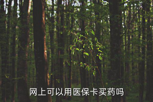 網(wǎng)上可以用醫(yī)保卡買藥嗎