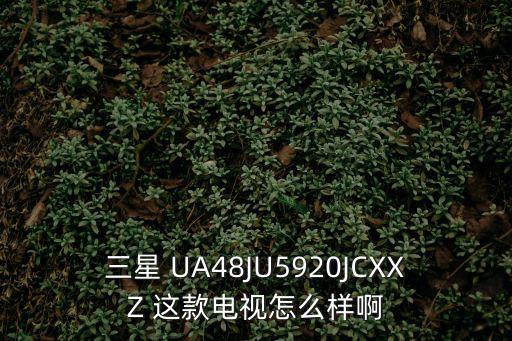 三星 UA48JU5920JCXXZ 這款電視怎么樣啊