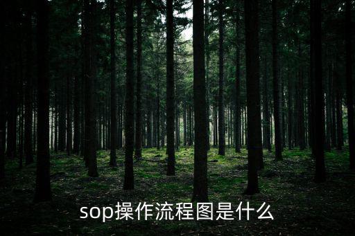 sop操作流程圖是什么