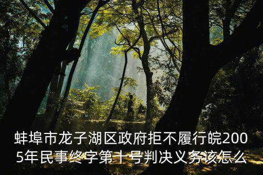 蚌埠市龍子湖區政府拒不履行皖2005年民事終字第十號判決義務該怎么