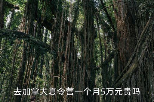 去加拿大夏令營一個月5萬元貴嗎