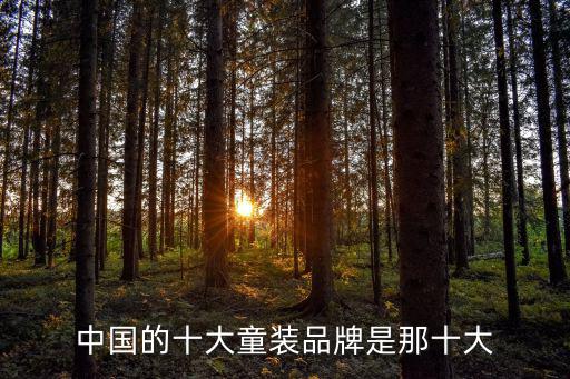中國的十大童裝品牌是那十大