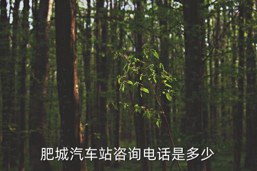 肥城汽車站咨詢電話是多少