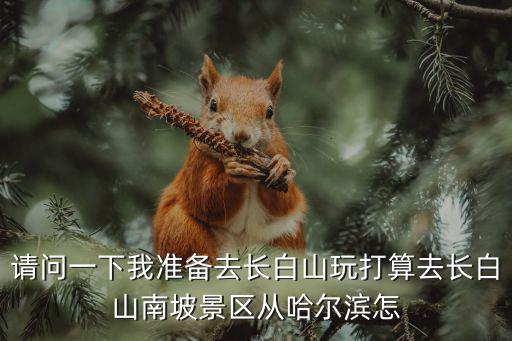 請問一下我準備去長白山玩打算去長白山南坡景區從哈爾濱怎