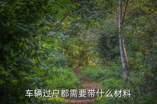 車輛過戶需要什么資料，車輛異地過戶需要什么手續