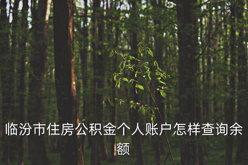 臨汾市住房公積金，臨汾提取公積金需要什么手續(xù)