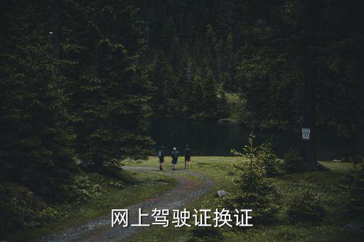 網上駕駛證換證