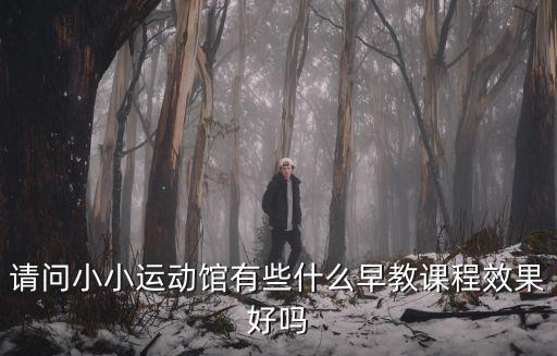 小小運動館，請問小小運動館有些什么早教課程效果好嗎