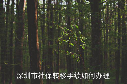 深圳社保轉(zhuǎn)移，深圳社保異地轉(zhuǎn)移流程有哪些手續(xù)