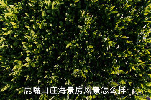 鹿嘴山莊海景房風(fēng)景怎么樣