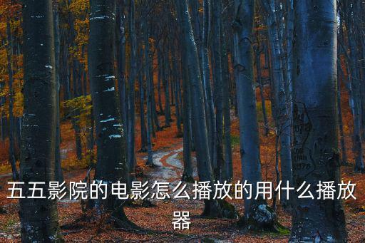 五五影院的電影怎么播放的用什么播放器