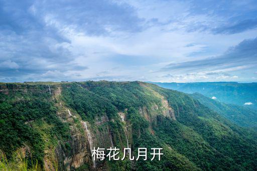 梅花幾月開