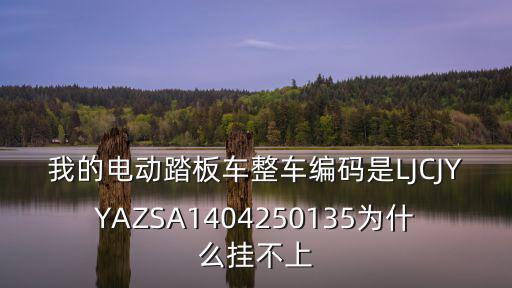 我的電動踏板車整車編碼是LJCJYYAZSA1404250135為什么掛不上