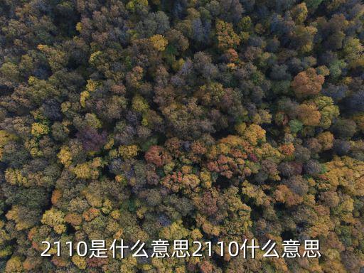 2110是什么意思2110什么意思
