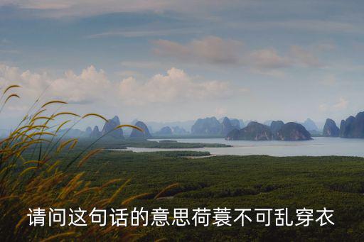 亂穿衣，請問這句話的意思荷蓑不可亂穿衣