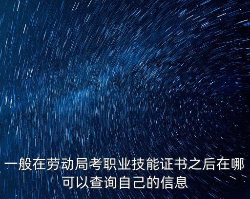 職業技能證書查詢，中專技校職高的畢業證書如何在線查詢