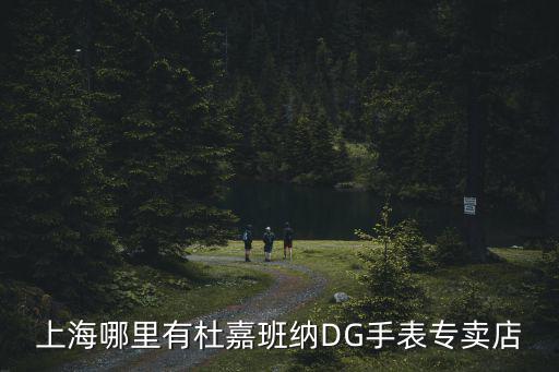 杜嘉班納官方旗艦店，南京有杜嘉班納DG專賣店嗎