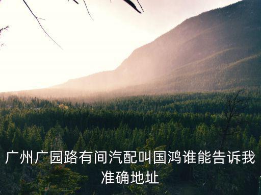 廣州廣園路有間汽配叫國鴻誰能告訴我準確地址