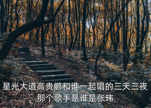 星光大道高貴鵬和誰(shuí)一起唱的三天三夜那個(gè)歌手是誰(shuí)是張瑋