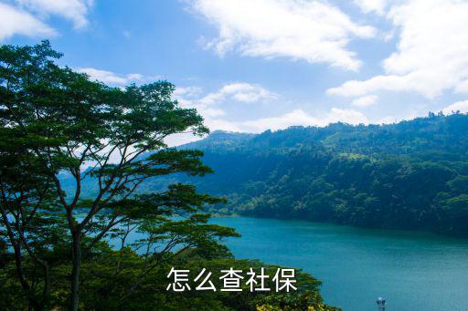 怎么查社保