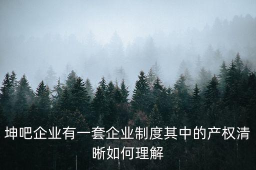 坤吧企業(yè)有一套企業(yè)制度其中的產(chǎn)權(quán)清晰如何理解