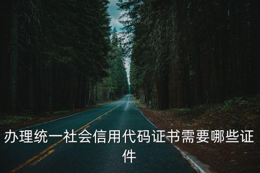 辦理統(tǒng)一社會(huì)信用代碼證書(shū)需要哪些證件