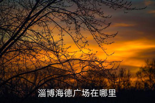 淄博海德廣場在哪里
