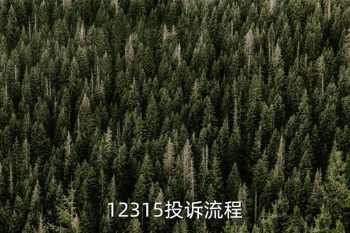 12315投訴流程