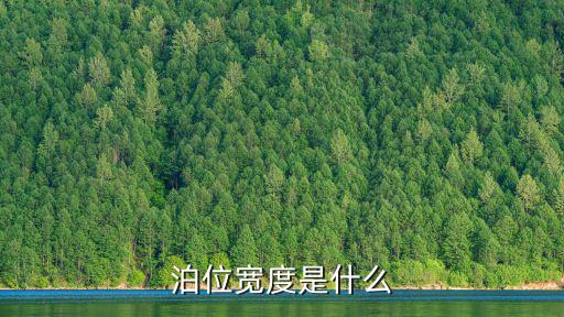 泊位，泊位是什么意思