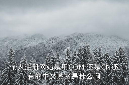 個人注冊，阿里巴巴注冊用戶個人注冊形式和公司注冊形式有什么不同嗎