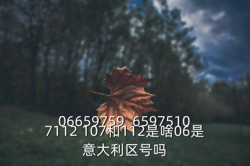 06659759  65975107112 107和112是啥06是意大利區號嗎